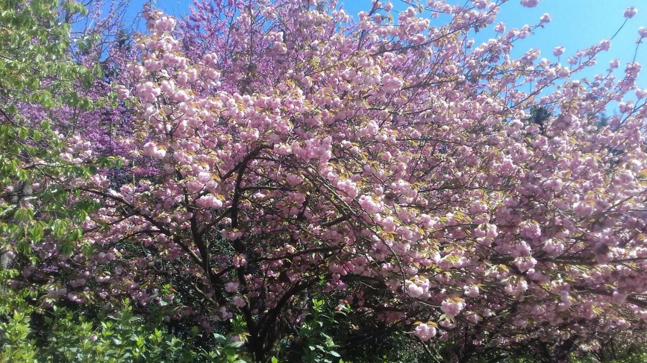 Вилла La Macchia Botrugno Экстерьер фото